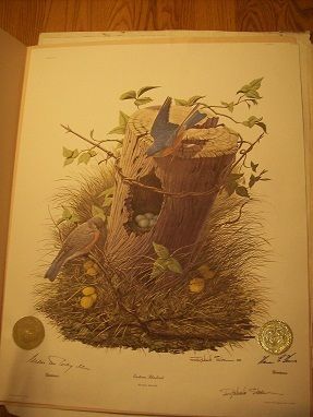   Print Governor Series Signed Eastern Bluebird Rockefeller Hearnes