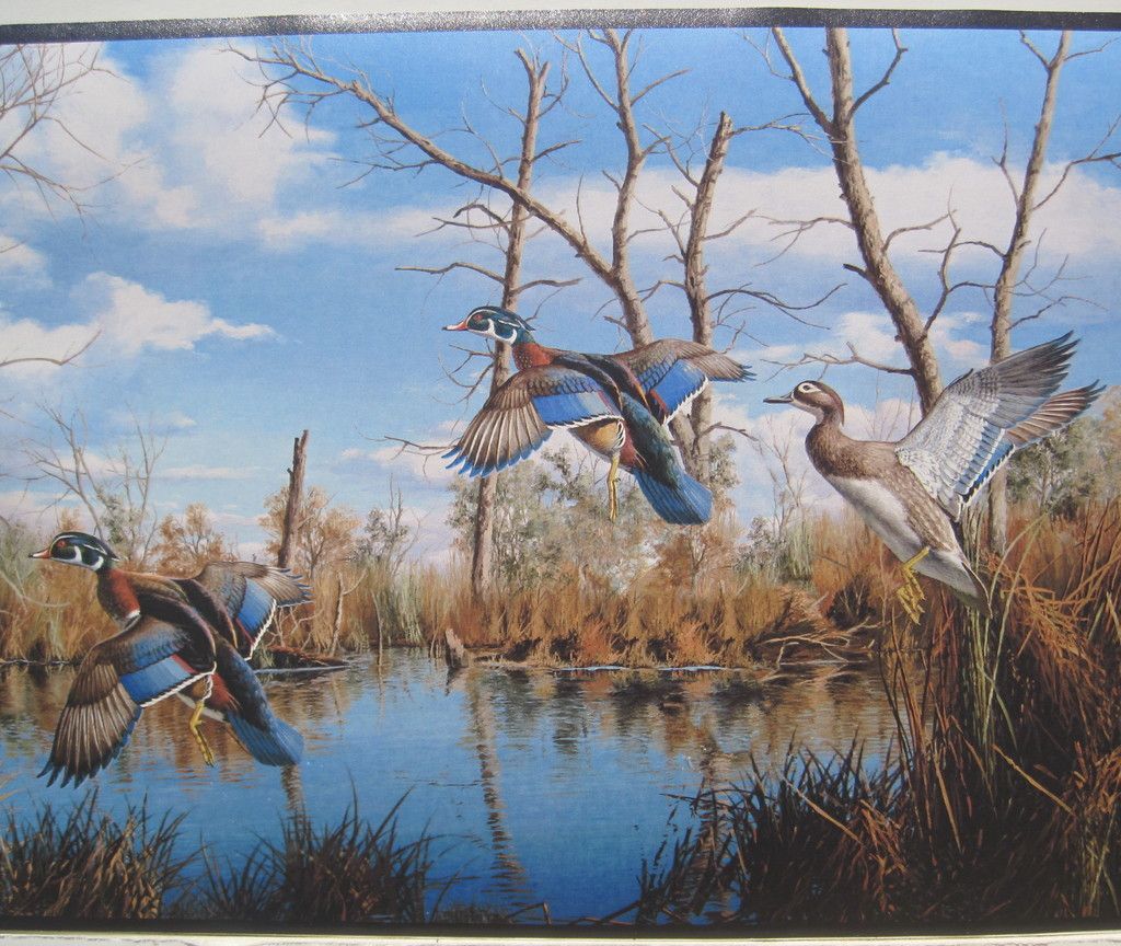 Duck Hunting Wood Ducks Mallards Wall Border 9