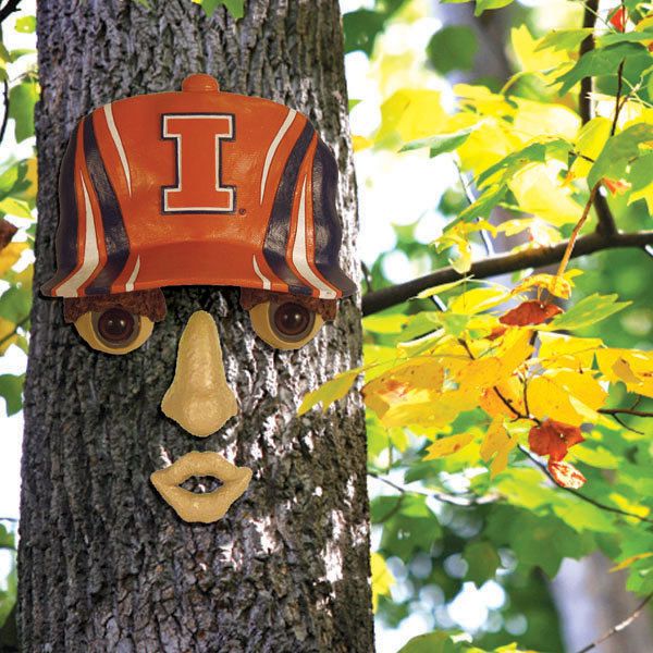 Illinois Fighting Illini 14X7 Forest Face