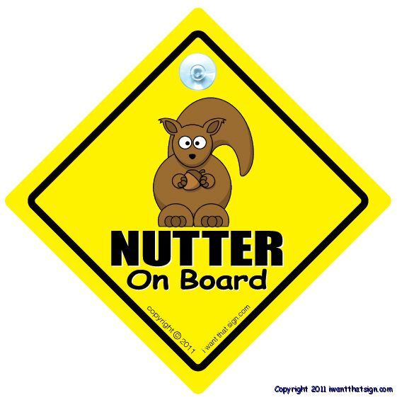 Nutter on Board Car Sign Baby on Board Sign Style