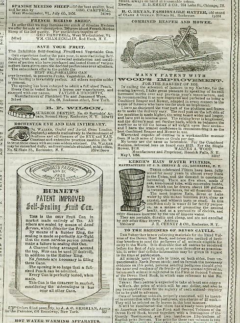  California Vigilance Lynchings Indianola Texas Camels 1856