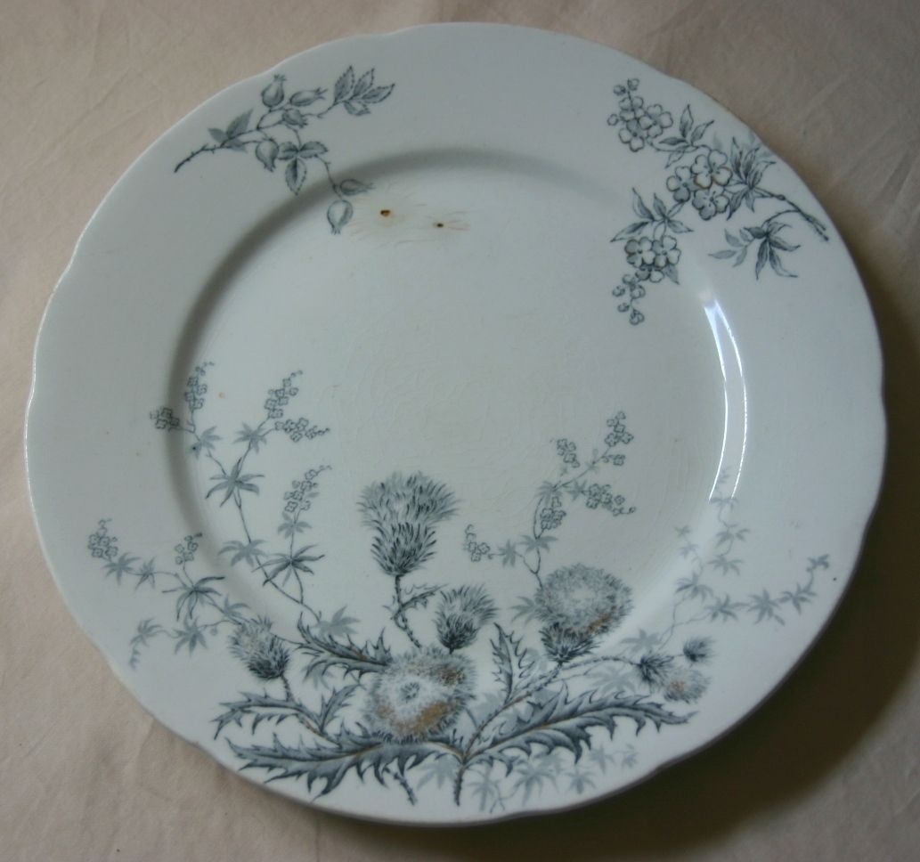 Porcelaine de Terre Plate John Edwards England Thistle  