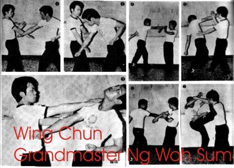 Martial Arts Wing Chun Hung Gar Choy Li Fut Tai Chi Eagle Claw Kung Fu RARE  