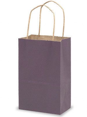 10 Purple Kraft Paper Gift Handle Bags Small 5 1 4 x 3 1 2 x 8 1 4