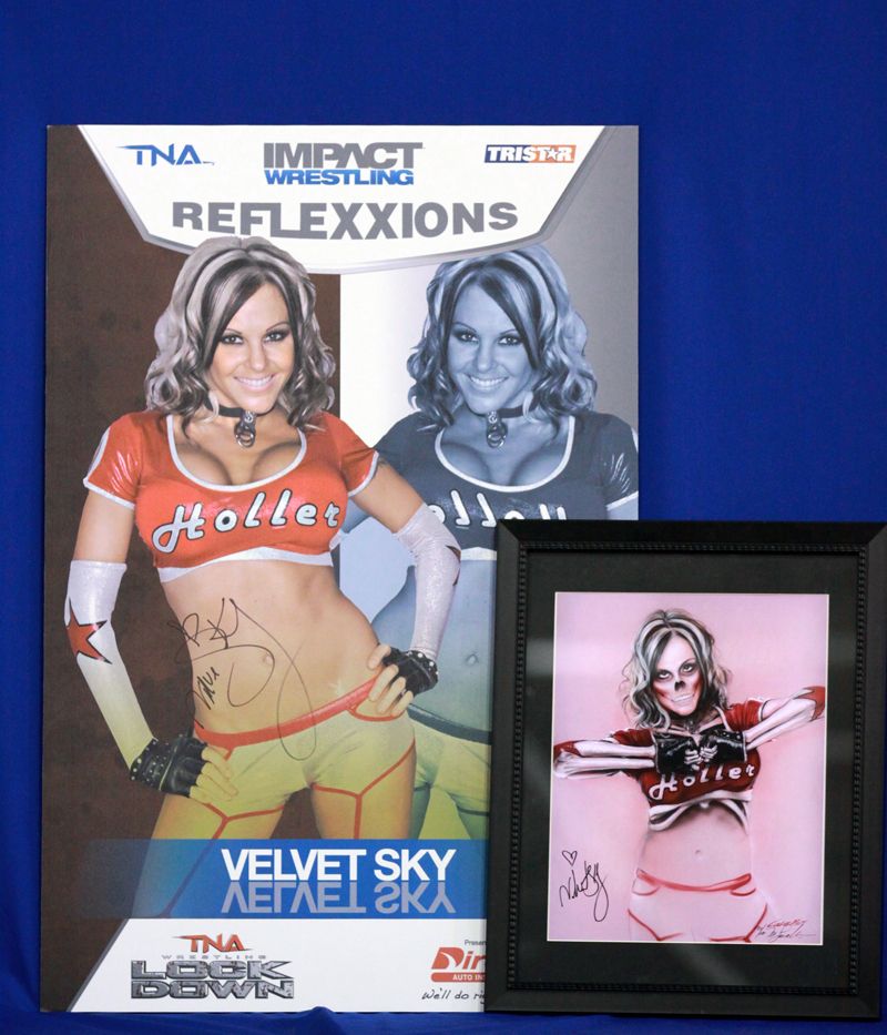 Autographed Velvet Sky Placard and Skelebritie