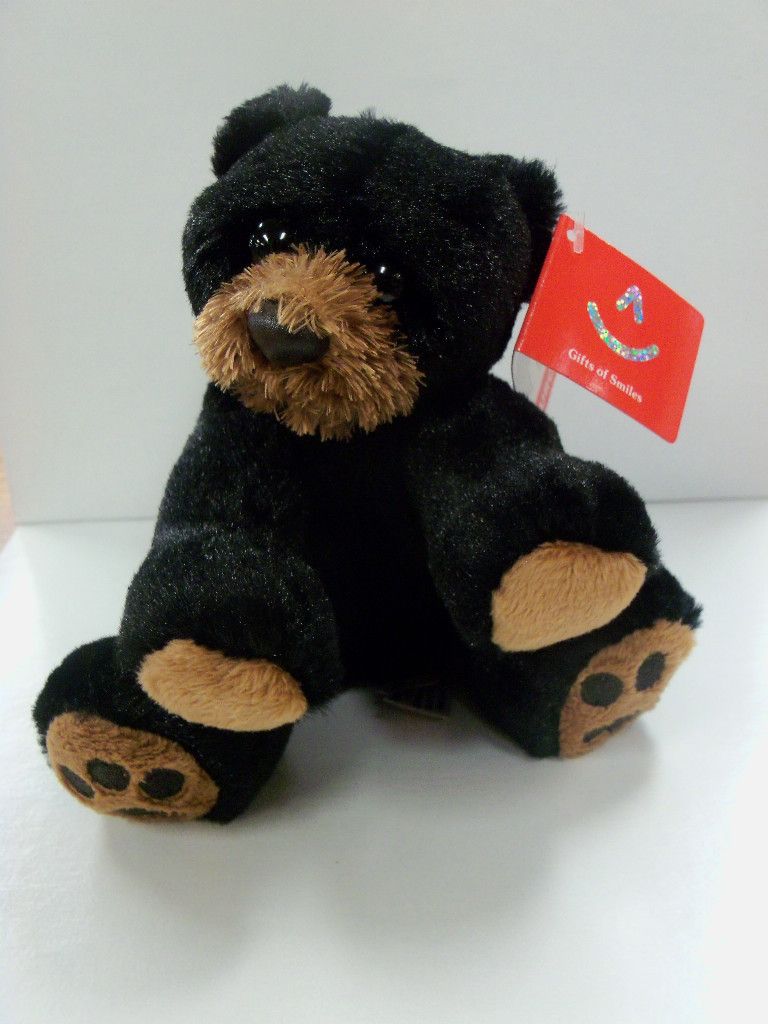 Lil Ray Black Bear Aurora New