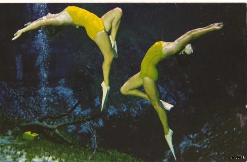 Weeki Wachee Springs FL Underwater Ballet Maidens