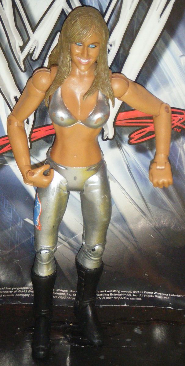 WWE Michelle McCool Wrestling Action Figure Jakks WWF Diva Ruthless