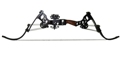 Oneida Black Eagle Bow