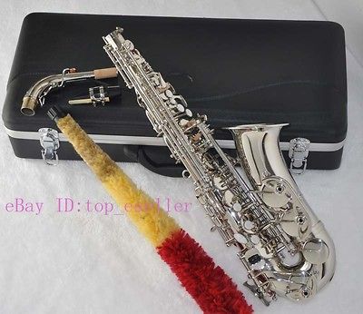 Professional Alto sax Saxophone Eb Saxofon 2012 model new&case