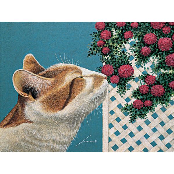 Lang Ferdinand Note Cards Lowell Herrero