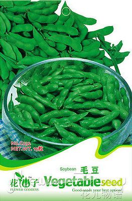 Soybean Seed ★ 15 Vegetables Seed Nutrient rich Pure Nature