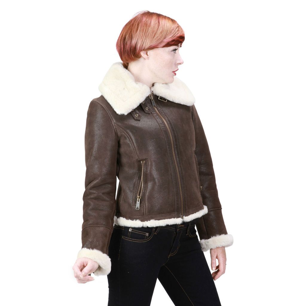 Womens Brown B 3 Fur Leather Aviator Jacket   Bomber S M L XL XXL