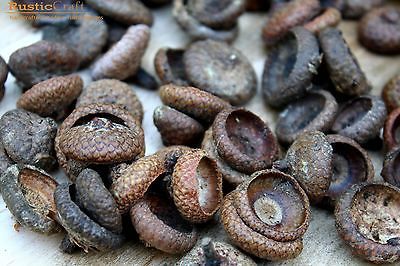 Acorn Caps   Felt Acorn supply   Autumn crafts, DIY Rustic Wedding