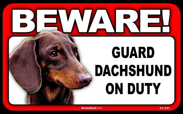 Sign Beware Guard Dachshund on Duty NEW