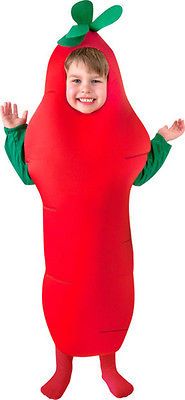 Toddler Carrot Cute Vegetable Halloween Costume 2t