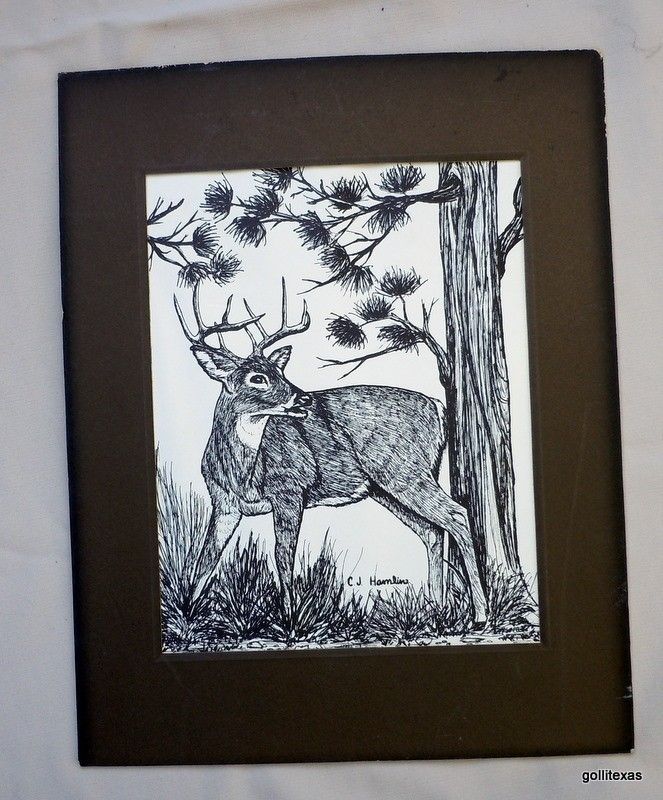 Matted Original Pen and Ink Drawing Deer C J Hamlin