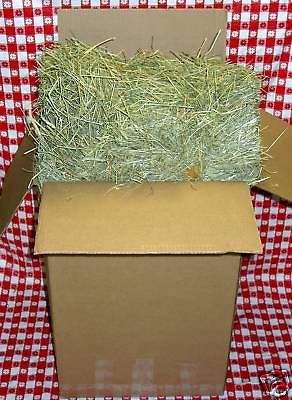 35 lb BEST OF THE BE ST 1st Cut Timothy Rabbit & Pet Hay