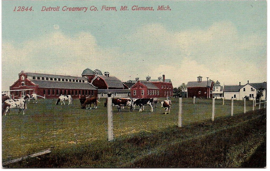 Mount Mt. Clemens, Michigan, DETROIT CREAMERY DAIRY MILK FARM, 1915