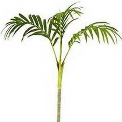 ft SILK CANE PALM TREE PLANT ARRANGEMENT TOPIARY FLOWER FLORAL BUSH