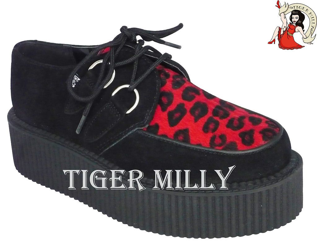 tuk creepers leopard