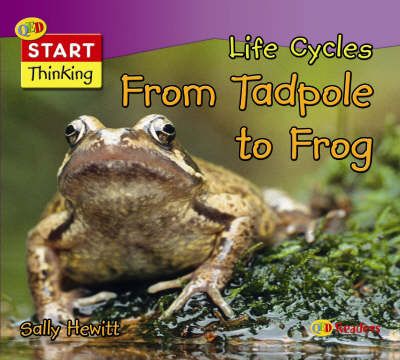 Sally Hewitt Life Cycles From Tadpole to Frog (QED Readers Start