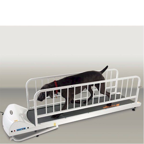 GoPet PetRun PR725 Dog Treadmill   Very Large Dogs