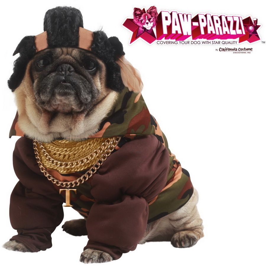 Pet Pity The Fool Mr T Pet Costume