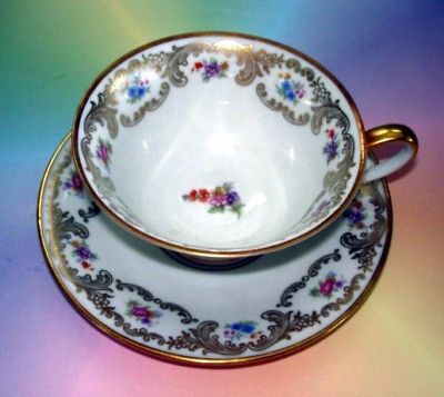 Floral Bavaria Tirschenreuth Germany Tea Cup and Saucer Set