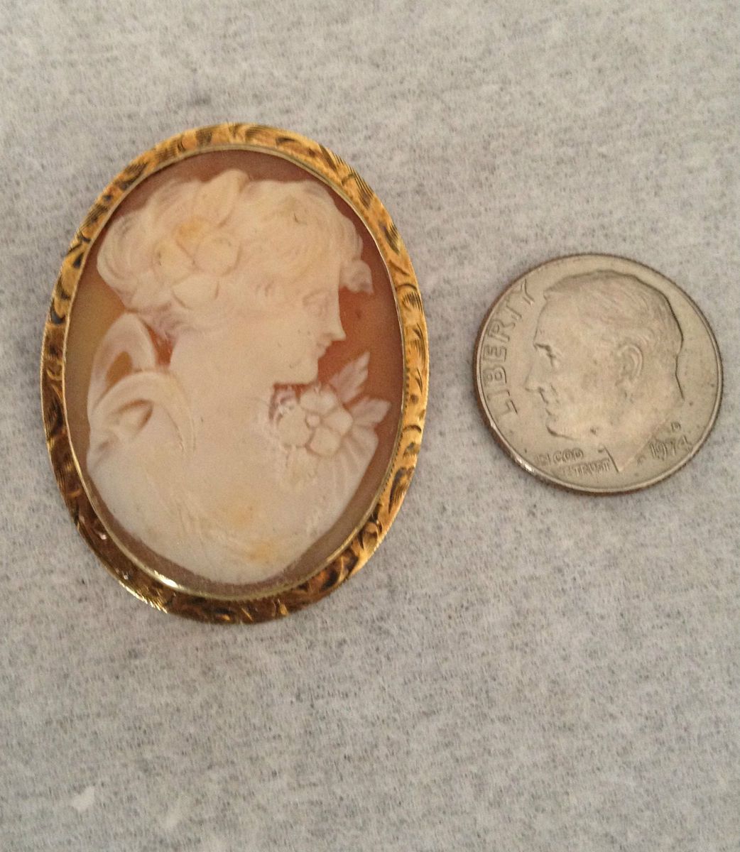 Antique Cameo 14k Yellow Gold Rim Beautiful Pin Brooch Broach